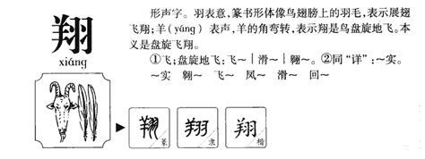 翔 五行|翔的五行